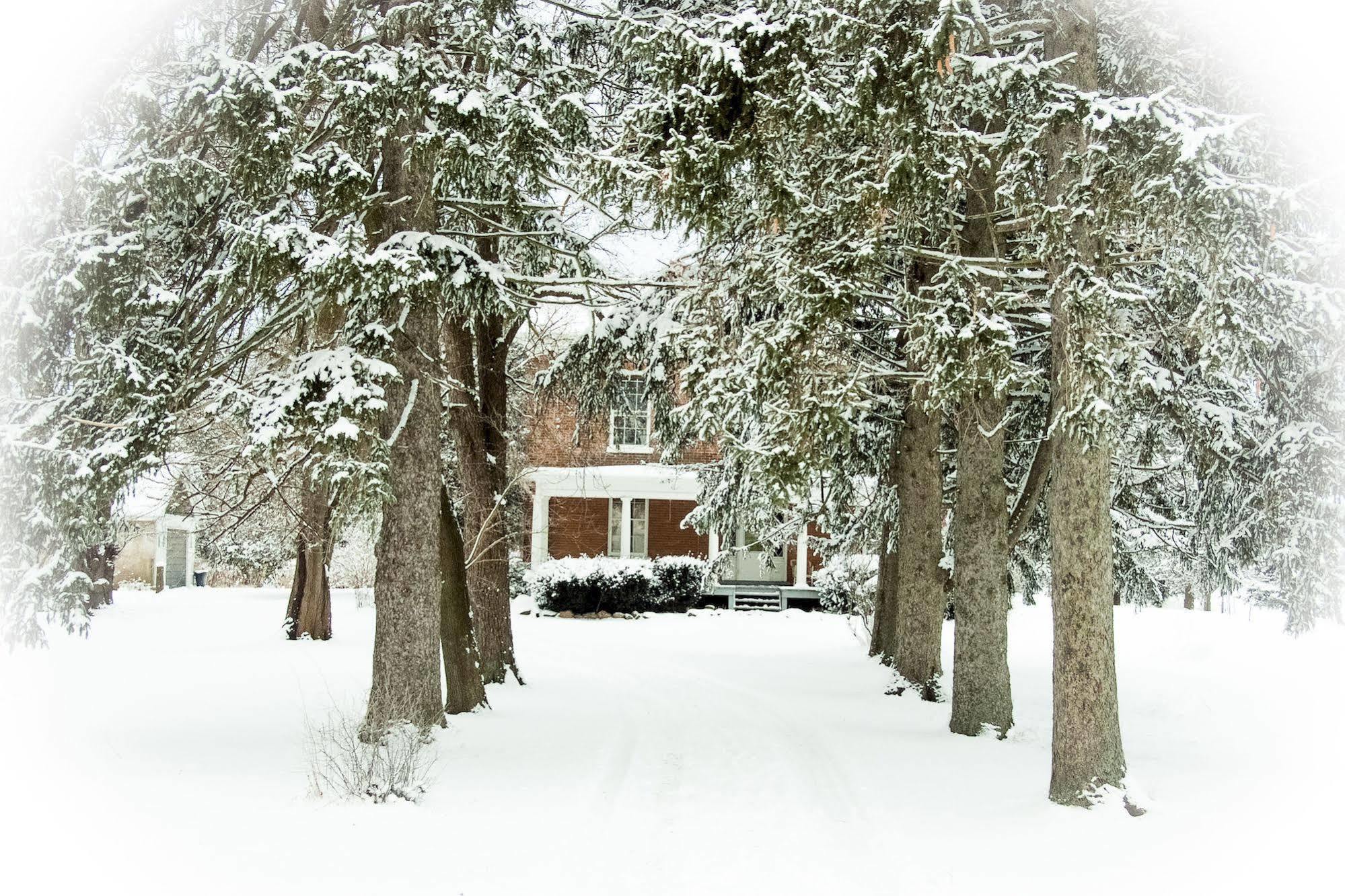 Culverdene House Simcoe Extérieur photo
